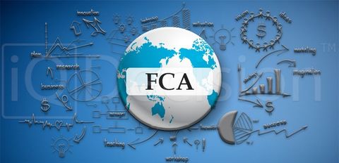 Подход FCA к международным фирмам