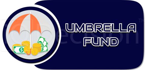 The umbrella fund explained