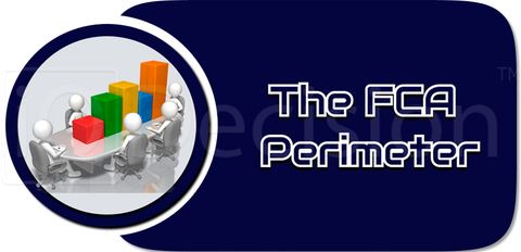 Что такое периметр FCA?